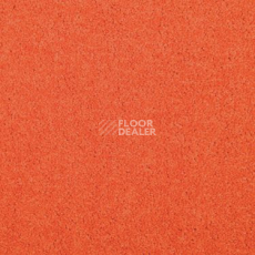 Ковровая плитка Modulyss Cambridge Xtra 25 f фото 1 | FLOORDEALER